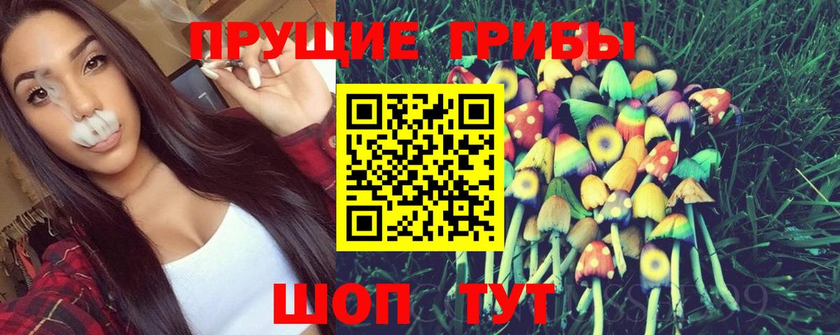 Псилоцибиновые грибы Psilocybine cubensis Верхняя Салда